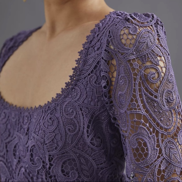 Anthropologie Maeve Embroidered Lace Mini Dress - Picture 3 of 5